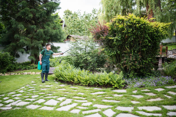 Best Affordable Pest Control Services  in Steubenville, OH